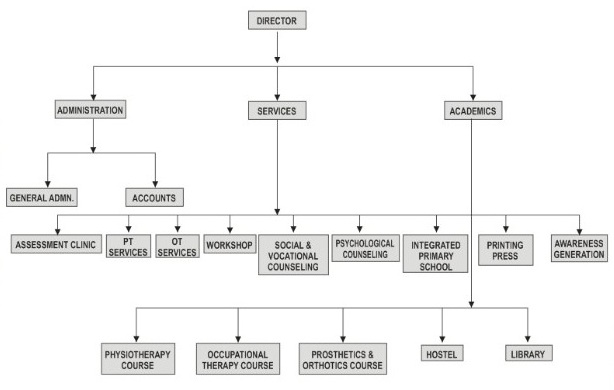 Physical Therapy Organizational Chart