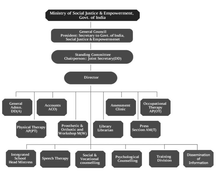 Physical Therapy Clinic Organizational Chart